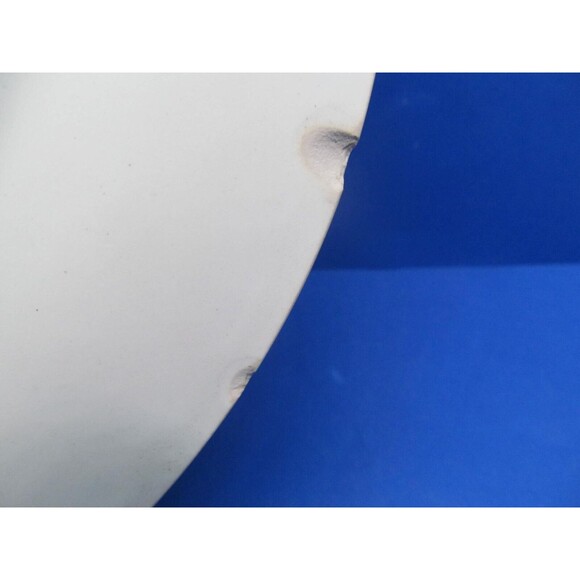 F. Winkle & Co. Wheildon Ware Pheasant Pattern Antique 10 1/2" Dinner Plate READ - Picture 5 of 7